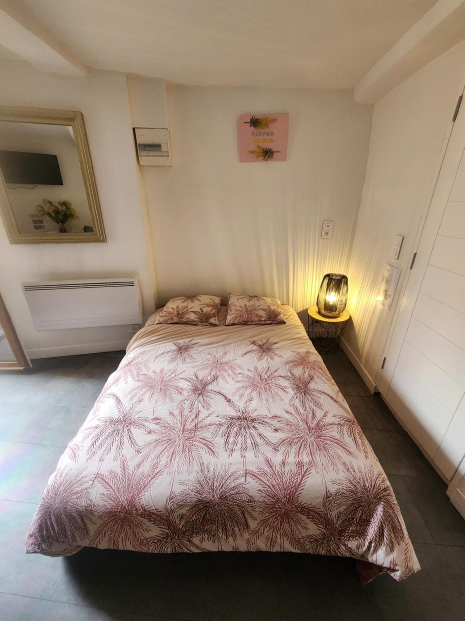 Parfum Mimosa Apartment Grasse Exterior photo
